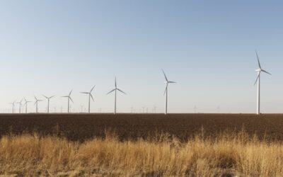 What is the New Energy Price Cap?